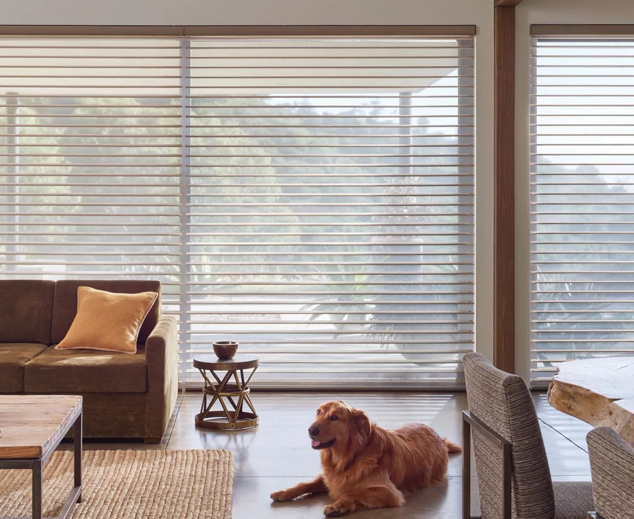 Hunter Douglas Sheer Blinds